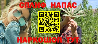 дмт Донской